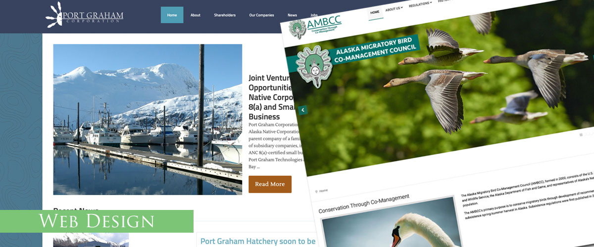 Web Design