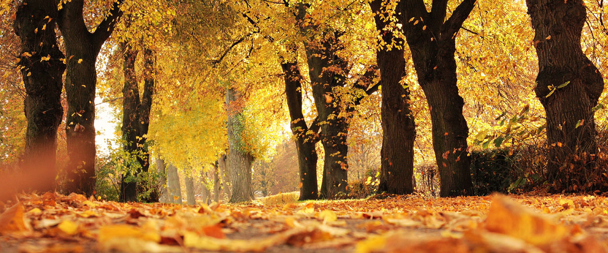 Web Design | Graphic Design | Photography